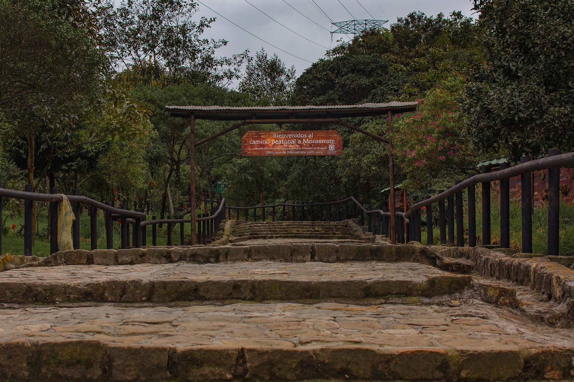 The Eastern Hills of Bogotá