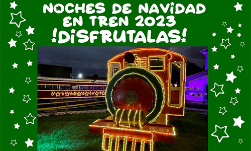 Noches de navidad en tren