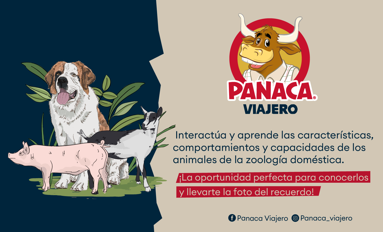 PANACA VIAJERO BOGOTÁ