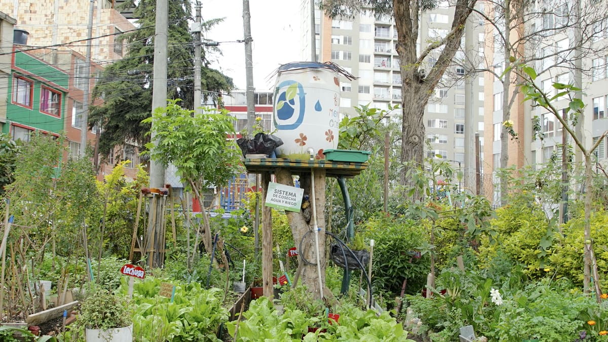 Monterrey Vegetable Garden's harvest, water, and irrigation system. Photo by Santiago Rincón - IDT