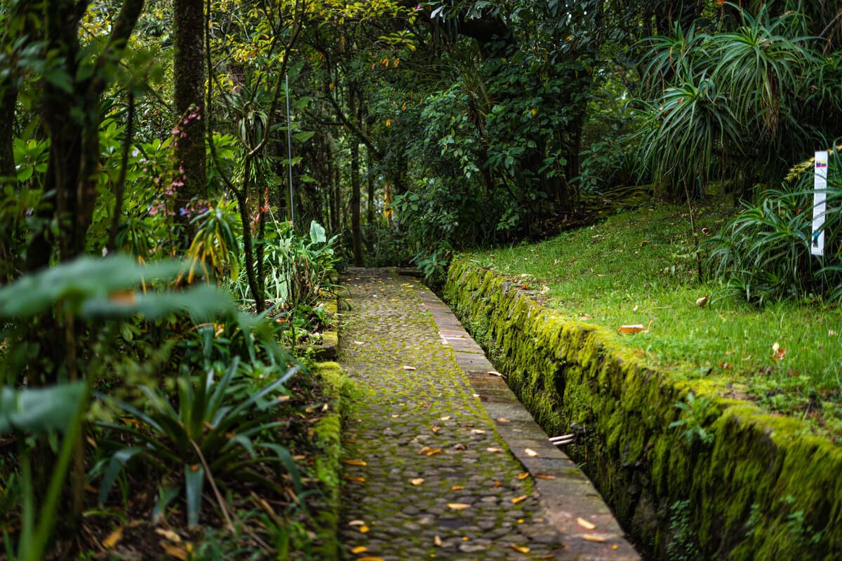 This trail leads to the vegetable garden and several gardens of the Quinta de Bolívar historical museum. Photo by Manuela Picón Reina - IDT