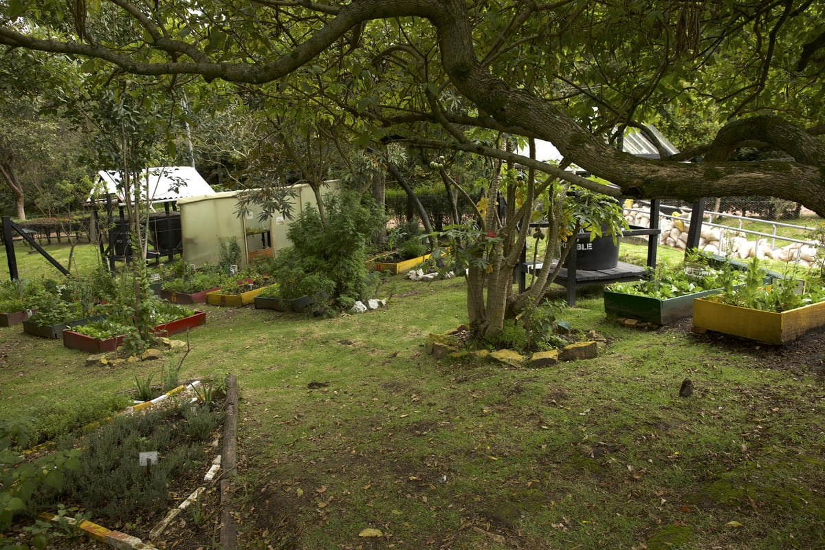 Mirador de los Nevados Vegetable Garden. On clear days, you can see the snow-capped volcanos of Ruiz, Tolima, and Santa Isabel. Photo by Juan José Sotelo - IDT