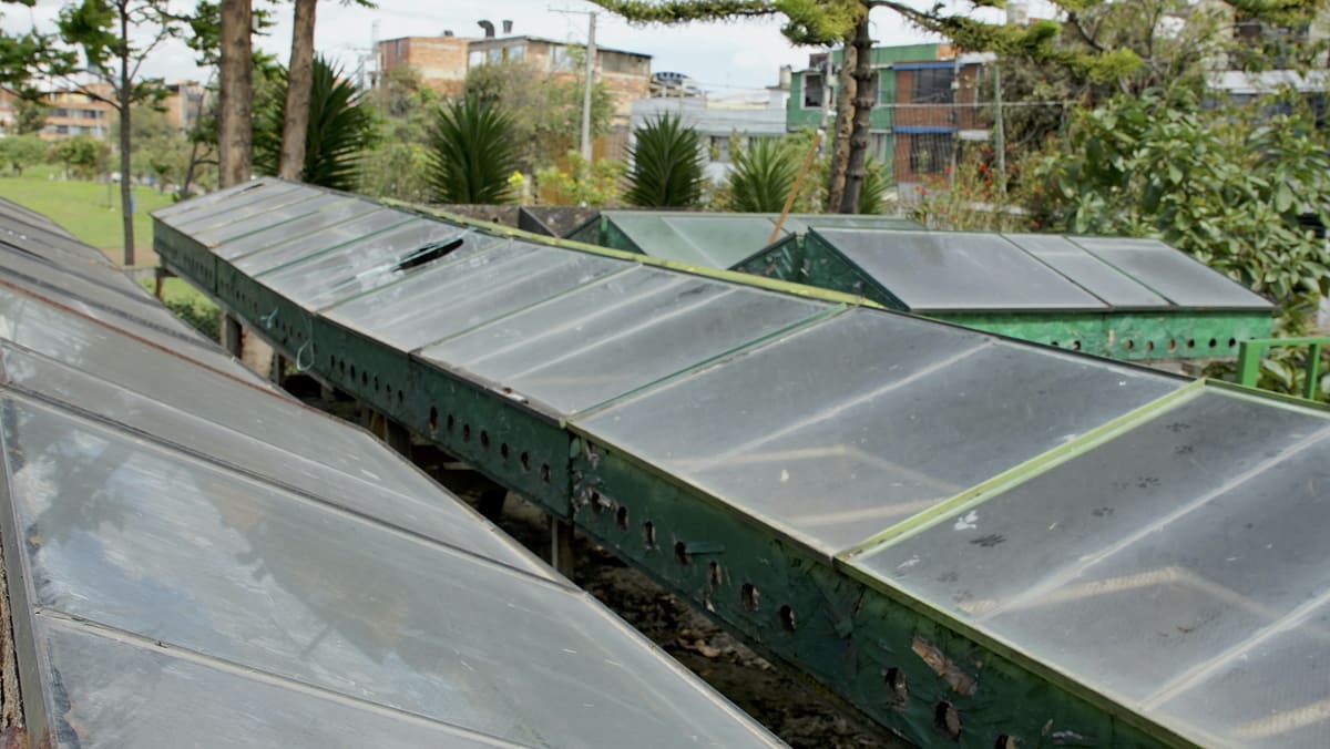 Organic waste treatment process at the Carvajal Osorio Vegetable Garden. Photo by Santiago Rincón -IDT