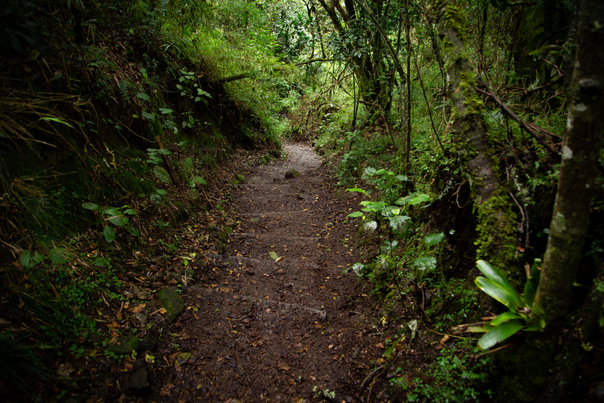 Ruta turística Santa Ana La Aguadora