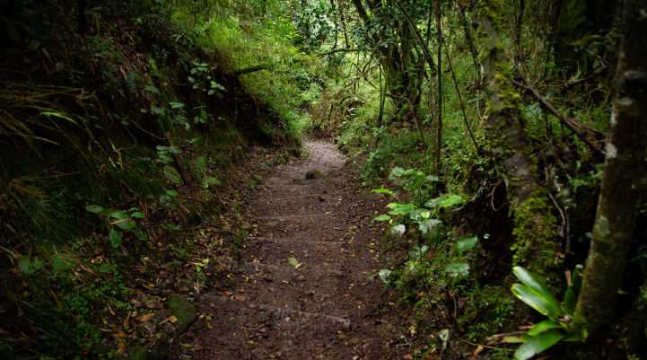 Ruta turística Santa Ana La Aguadora