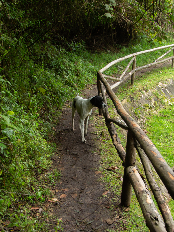 Ruta turística Santa Ana La Aguadora