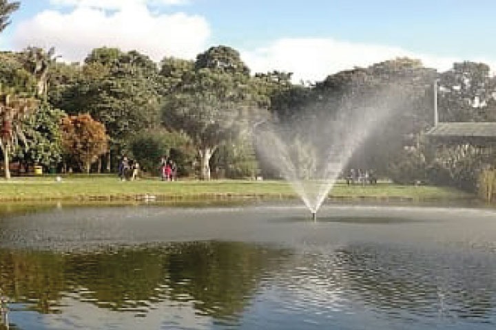 Disfruta de la naturaleza con una experiencia de equilibrio y bienestar