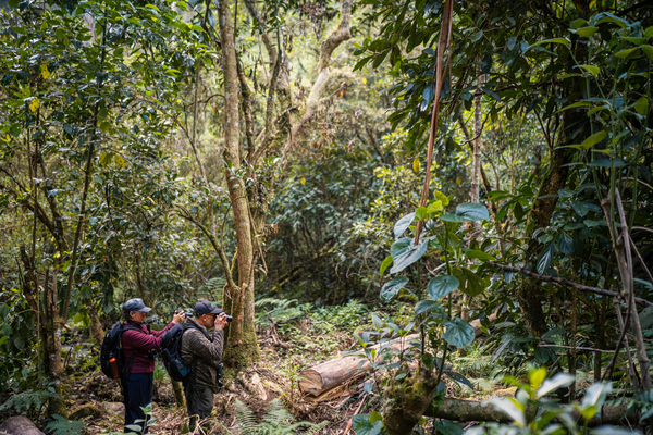 A couple dedicated to birdwatching on the trail. This is the favorite activity of visitors or residents of the area. Photo: Diego Cuevas - IDT