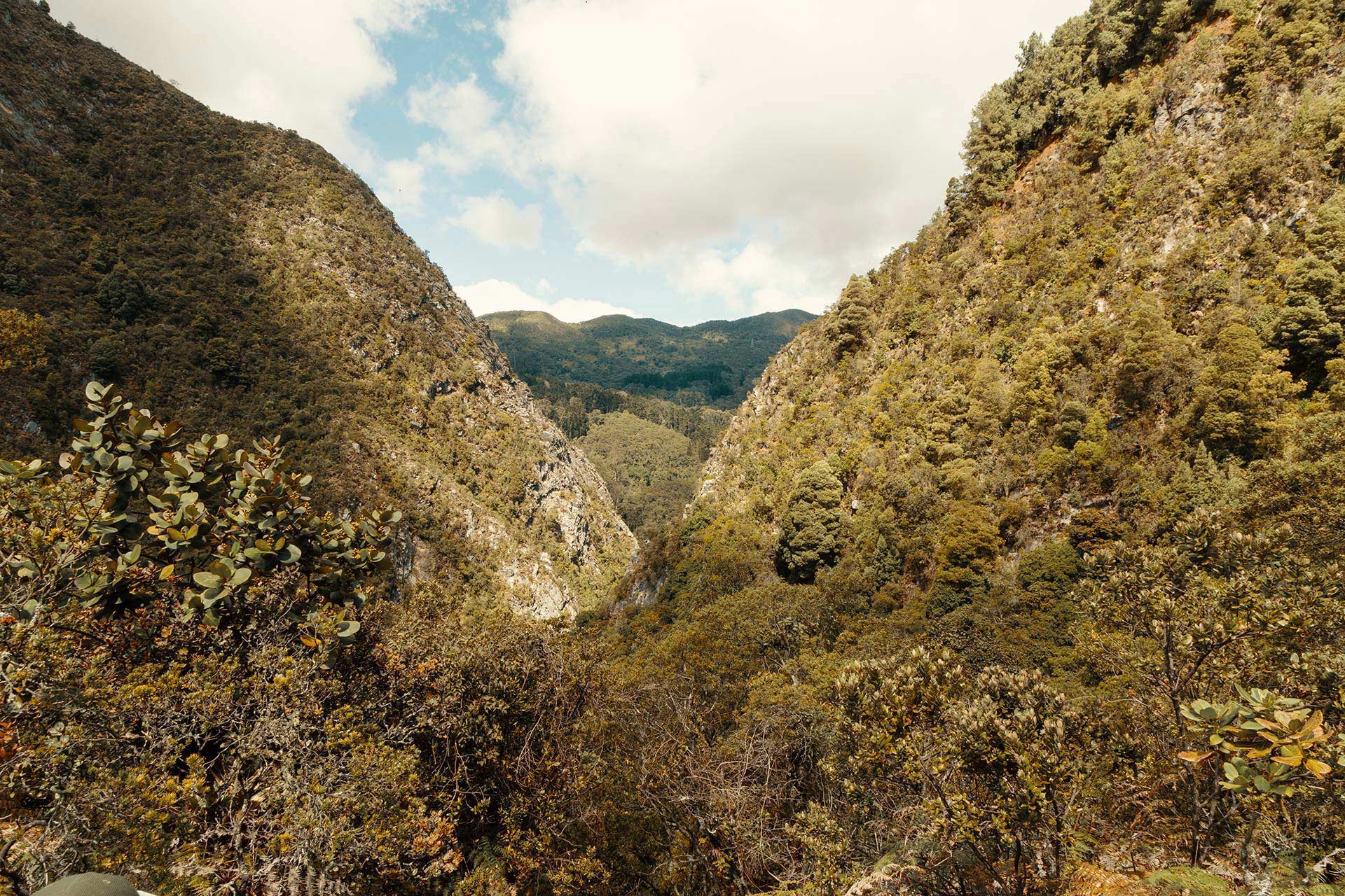 View of the eastern hills of Bogotá from the Vicachá trail. Photo: IDT