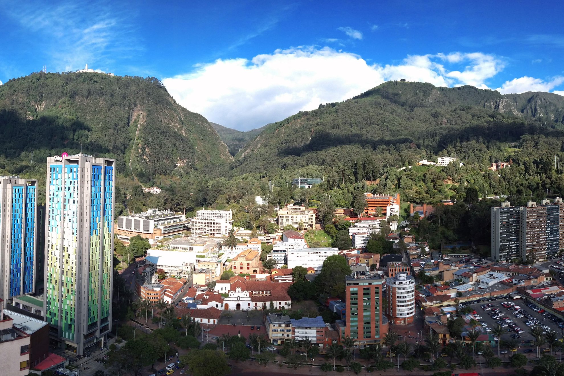 Baños de bosque para disminuir el estrés