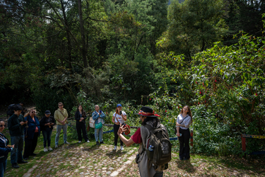 La Candelaria: an ancestral journey to connect with the essence