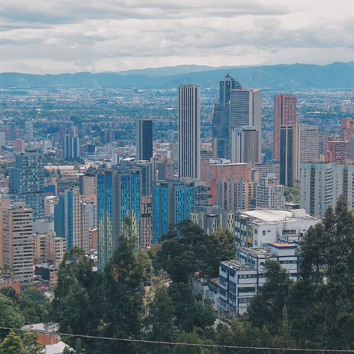 Baños de bosque para disminuir el estrés