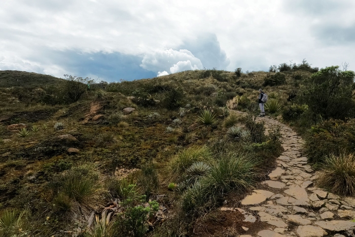 Disminuye el estrés con baños de bosque