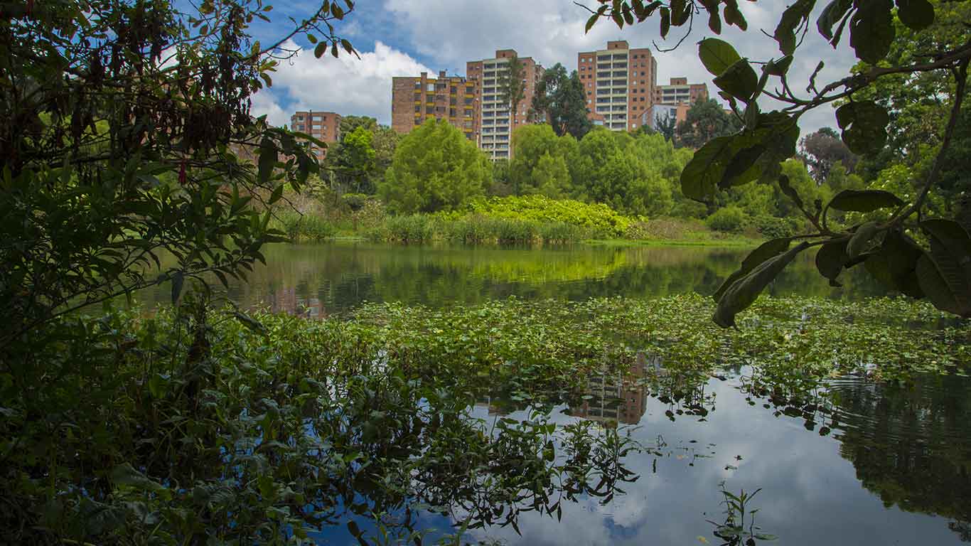 Humedal Córdoba