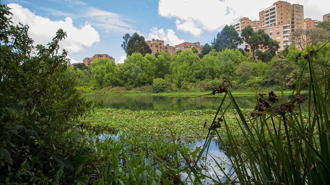 Humedal Córdoba