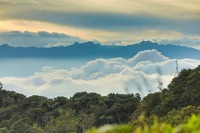 Tequendama Province Cloud Forest. Photo: Rutas Turísticas de Cundinamarca - IDECUT Archive