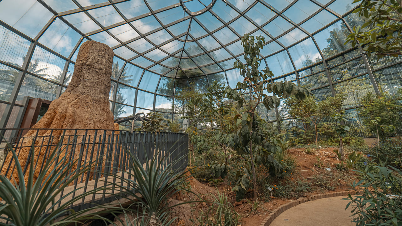 El Jardín Botánico José Celestino Mutis es un pulmón natural en medio de la ciudad. Foto: Ricardo Báez. IDT